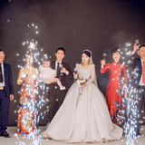  LMH1017