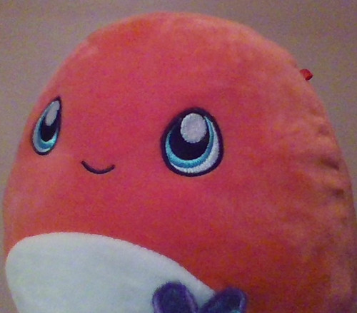 IMG 20200215 205654.jpg