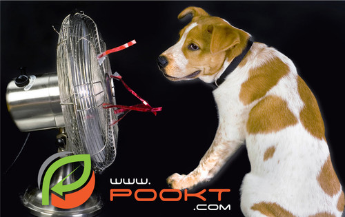Pet Waste Abbotsford Canada.jpg