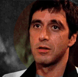 wtf (4).gif