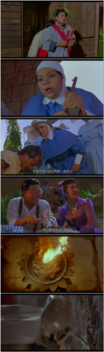 [一眉道人]Vampire Vs Vampire 1989 GBR BluRay 1080p x264 AC3 5.1 2Audios FFans@荖顽僮.jpg