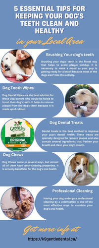 5 Tips for Maintaining Your Dog's Dental Hygiene and Teeth Cleaning K9 Gentle Dental.jpg