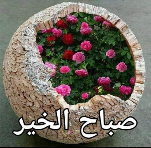 IMG 20230621 WA0001.jpg