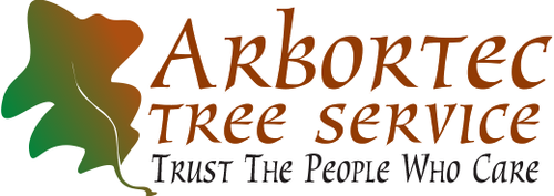 tree removal denver.png