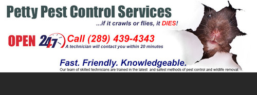 Home Pest Control.jpg