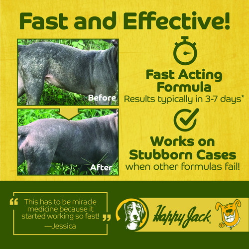 4. Happy Jack Mange Benefit 4.jpg