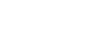 paruzzo logo 2 01.png