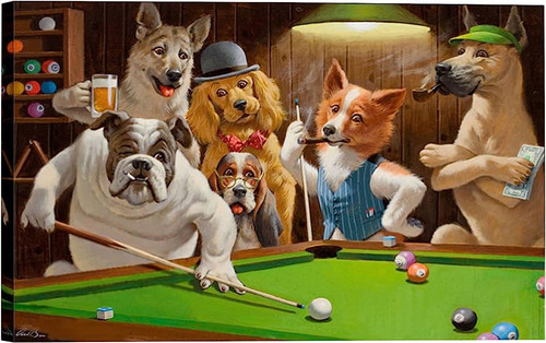 71tfy7bDfQL. AC UF894,1000 QL80 .jpg