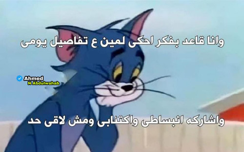 352658342 1743754396043987 7576199245664827063 n.jpg