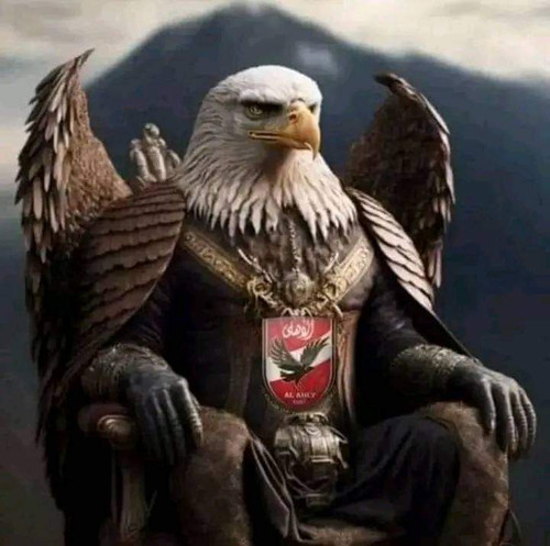 FB IMG 1687285124216.jpg