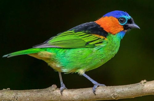 IMG 20230621 010631.jpg