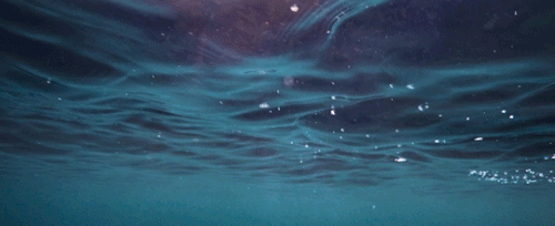 tumblr eded8925e677311415f0acfb8c39c599 cb74abcf 540.gif