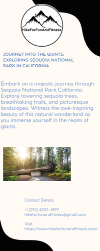 Journey into the Giants: Exploring Sequoia National Park in California.png