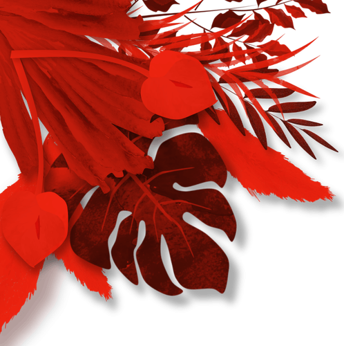 top left (1).png