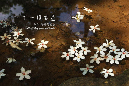 20160502 235拷貝(001).jpg