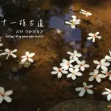 20160502 235拷貝(001)