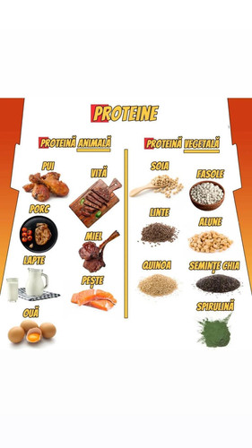 1687242992 405802701.jpg