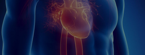 Heart Problem: Know About The Heart Blockage Symptoms | Medanta.jpg