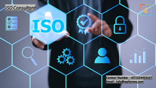 ISO Consultant.jpg