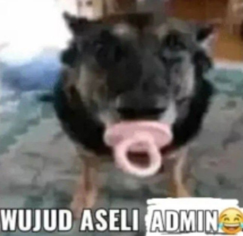 image.jpg