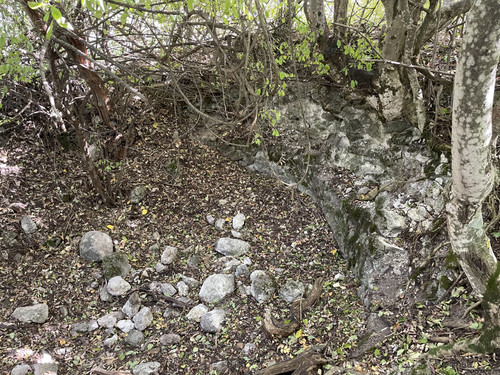 F24A1CF8 6EEF 45B2 AC94 5AD682F82DF4.jpg