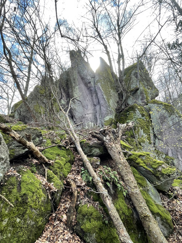 3D51DBBF 1B50 4982 BE27 0B3C7BA42C36.jpg