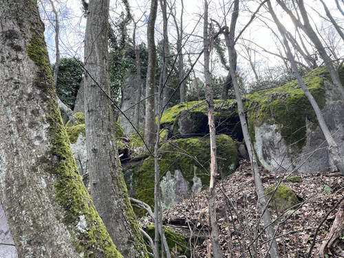 96A4DF30 7880 4A3B B90A 66A9FA2A23A7.jpg