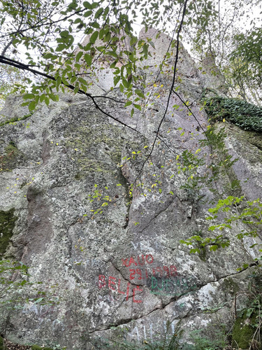 F7B090D6 0B5D 4677 BCD7 735C182BF874.jpg