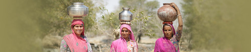 water conservation project.jpg
