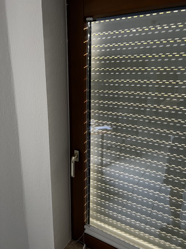 IMG 8917.jpg
