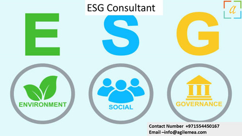 ESG Consultant 24.jpg