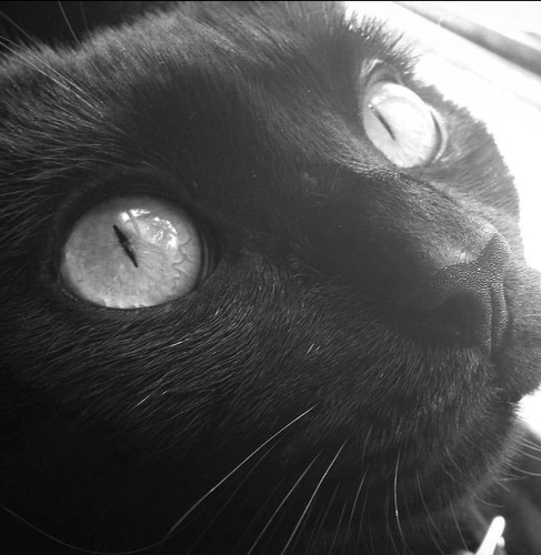 Screenshot 20230620 025602 Instagram.jpg