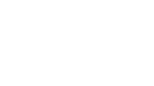 New Project.png