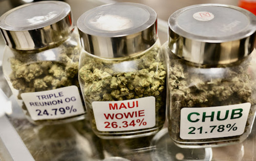 Marijuana Pueblo West CO.jpg