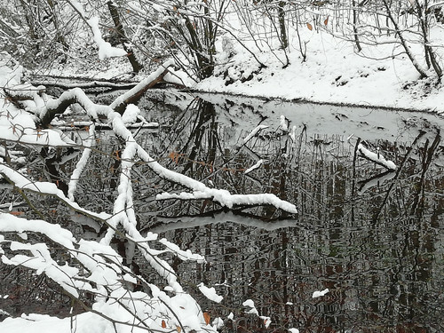 IMG 20210109 150753.jpg