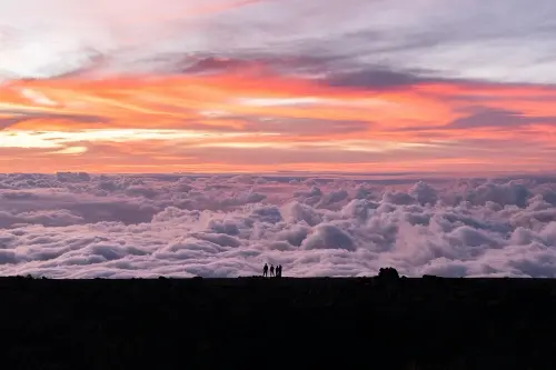 maui 7632875 1280.webp