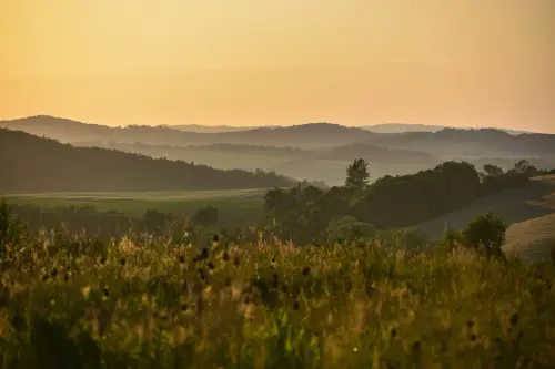 landscape 8068792 1280.webp