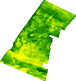 1 06 21.png