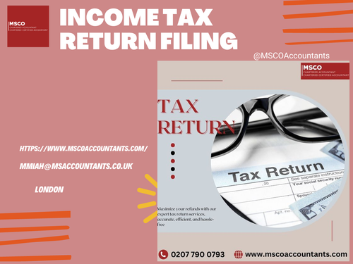 MSCO Accountants: Business Income Tax Return Filing Experts in London.png