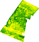 1 06 19.png