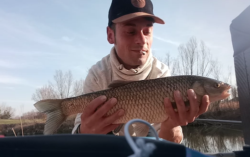 Screenshot 20200216 181336 1.png