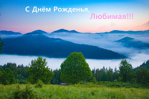 IMG 1129Открткpsd.jpg