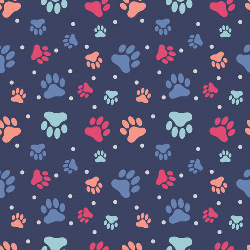 pata patrones fisuras 32088 14.jpg