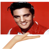 20205731bSN1McZi.png
