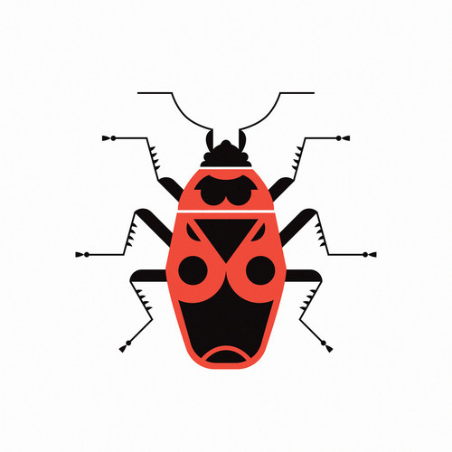 bug (1).jpg