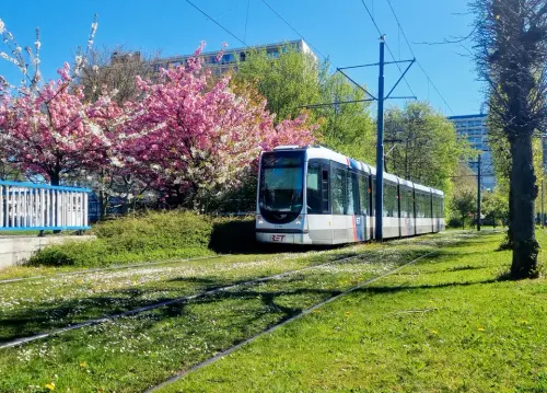 ykb0gocw73u81 (1).webp