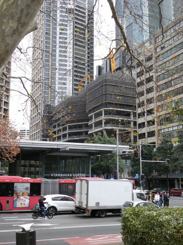 P1000440.jpg
