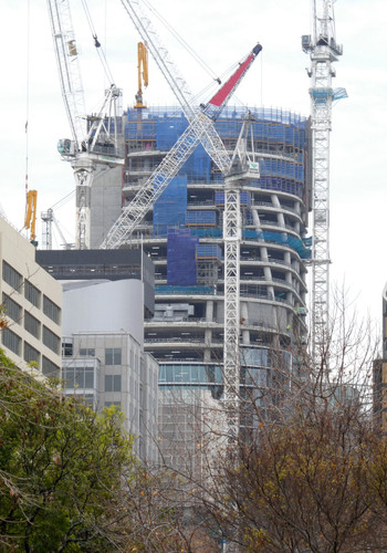 P1000438.jpg