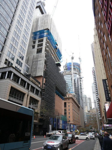 P1000445.jpg