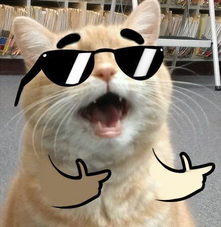 pp kucing meme 1.jpg